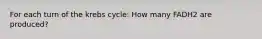 For each turn of the krebs cycle: How many FADH2 are produced?