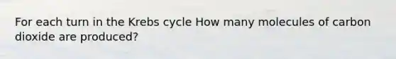 For each turn in the Krebs cycle How many molecules of carbon dioxide are produced?