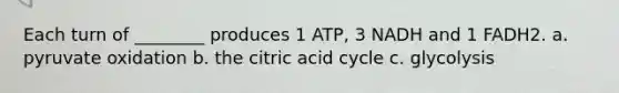 Each turn of ________ produces 1 ATP, 3 NADH and 1 FADH2. a. pyruvate oxidation b. the citric acid cycle c. glycolysis