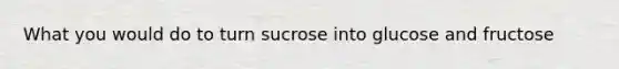 What you would do to turn sucrose into glucose and fructose