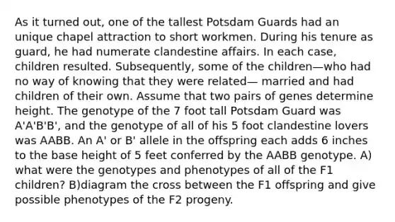 As it turned out, one of the tallest Potsdam Guards had an unique chapel attraction to short workmen. During his tenure as guard, he had numerate clandestine affairs. In each case, children resulted. Subsequently, some of the children—who had no way of knowing that they were related— married and had children of their own. Assume that two pairs of genes determine height. The genotype of the 7 foot tall Potsdam Guard was A'A'B'B', and the genotype of all of his 5 foot clandestine lovers was AABB. An A' or B' allele in the offspring each adds 6 inches to the base height of 5 feet conferred by the AABB genotype. A) what were the genotypes and phenotypes of all of the F1 children? B)diagram the cross between the F1 offspring and give possible phenotypes of the F2 progeny.