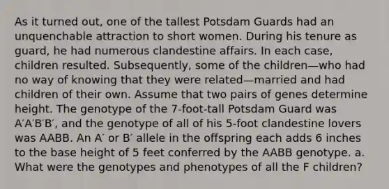 As it turned out, one of the tallest Potsdam Guards had an unquenchable attraction to short women. During his tenure as guard, he had numerous clandestine affairs. In each case, children resulted. Subsequently, some of the children—who had no way of knowing that they were related—married and had children of their own. Assume that two pairs of genes determine height. The genotype of the 7-foot-tall Potsdam Guard was A′A′B′B′, and the genotype of all of his 5-foot clandestine lovers was AABB. An A′ or B′ allele in the offspring each adds 6 inches to the base height of 5 feet conferred by the AABB genotype. a. What were the genotypes and phenotypes of all the F children?