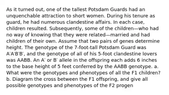 As it turned out, one of the tallest Potsdam Guards had an unquenchable attraction to short women. During his tenure as guard, he had numerous clandestine affairs. In each case, children resulted. Subsequently, some of the children—who had no way of knowing that they were related—married and had children of their own. Assume that two pairs of genes determine height. The genotype of the 7-foot-tall Potsdam Guard was A′A′B′B′, and the genotype of all of his 5-foot clandestine lovers was AABB. An A′ or B′ allele in the offspring each adds 6 inches to the base height of 5 feet conferred by the AABB genotype. a. What were the genotypes and phenotypes of all the F1 children? b. Diagram the cross between the F1 offspring, and give all possible genotypes and phenotypes of the F2 progen