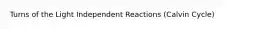 Turns of the Light Independent Reactions (Calvin Cycle)