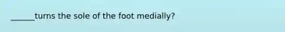 ______turns the sole of the foot medially?