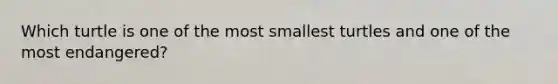 Which turtle is one of the most smallest turtles and one of the most endangered?