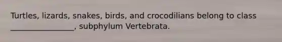 Turtles, lizards, snakes, birds, and crocodilians belong to class ________________, subphylum Vertebrata.