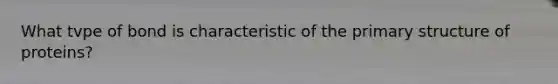 What tvpe of bond is characteristic of the primary structure of proteins?