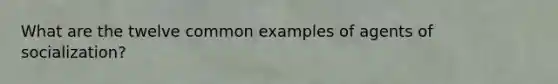 What are the twelve common examples of agents of socialization?