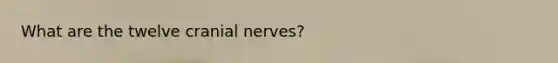 What are the twelve <a href='https://www.questionai.com/knowledge/kE0S4sPl98-cranial-nerves' class='anchor-knowledge'>cranial nerves</a>?