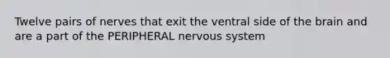 Twelve pairs of nerves that exit the ventral side of the brain and are a part of the PERIPHERAL nervous system