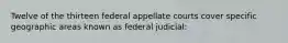 Twelve of the thirteen federal appellate courts cover specific geographic areas known as federal judicial: