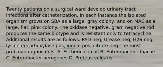 Twenty patients on a surgical ward develop urinary tract infections after catheterization. In each instance the isolated organism grows on SBA as a large, gray colony, and on MAC as a large, flat, pink colony. The oxidase negative, gram negative rod produces the same biotype and is resistant only to tetracycline. Additional results are as follows: PAD neg, Urease neg, H2S neg, lysine decarboxylase pos, indole pos, citrate neg The most probable organism is: A. Escherichia coli B. Enterobacter cloacae C. Enterobacter aerogenes D. Proteus vulgaris