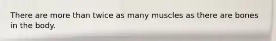 There are more than twice as many muscles as there are bones in the body.