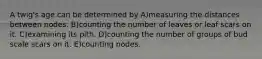 A twig's age can be determined by A)measuring the distances between nodes. B)counting the number of leaves or leaf scars on it. C)examining its pith. D)counting the number of groups of bud scale scars on it. E)counting nodes.