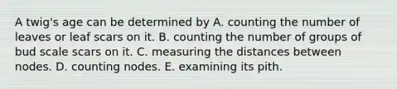 A twig's age can be determined by A. counting the number of leaves or leaf scars on it. B. counting the number of groups of bud scale scars on it. C. measuring the distances between nodes. D. counting nodes. E. examining its pith.