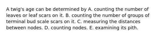 A twig's age can be determined by A. counting the number of leaves or leaf scars on it. B. counting the number of groups of terminal bud scale scars on it. C. measuring the distances between nodes. D. counting nodes. E. examining its pith.