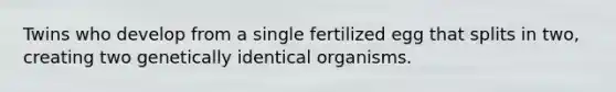 Twins who develop from a single fertilized egg that splits in two, creating two genetically identical organisms.