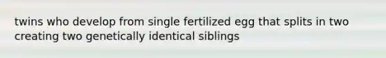 twins who develop from single fertilized egg that splits in two creating two genetically identical siblings