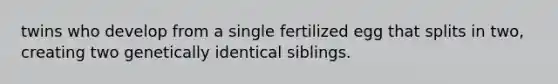 twins who develop from a single fertilized egg that splits in two, creating two genetically identical siblings.