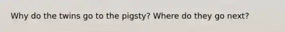 Why do the twins go to the pigsty? Where do they go next?