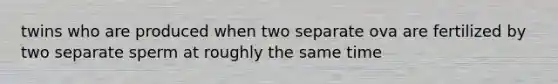 twins who are produced when two separate ova are fertilized by two separate sperm at roughly the same time