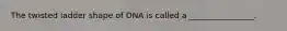 The twisted ladder shape of DNA is called a ________________.