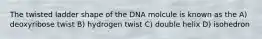 The twisted ladder shape of the DNA molcule is known as the A) deoxyribose twist B) hydrogen twist C) double helix D) isohedron