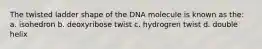 The twisted ladder shape of the DNA molecule is known as the: a. isohedron b. deoxyribose twist c. hydrogren twist d. double helix