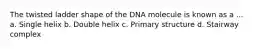 The twisted ladder shape of the DNA molecule is known as a ... a. Single helix b. Double helix c. Primary structure d. Stairway complex