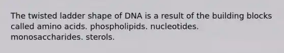 The twisted ladder shape of DNA is a result of the building blocks called amino acids. phospholipids. nucleotides. monosaccharides. sterols.