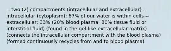 -- two (2) compartments (intracellular and extracellular) -- intracellular (cytoplasm): 67% of our water is within cells -- extracellular: 33% (20% blood plasma; 80% tissue fluid or interstitial fluid) (found in the gel-like extracellular matrix) (connects the intracellular compartment with the blood plasma) (formed continuously recycles from and to blood plasma)