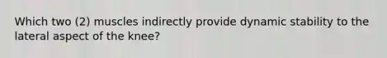 Which two (2) muscles indirectly provide dynamic stability to the lateral aspect of the knee?