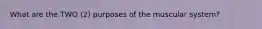 What are the TWO (2) purposes of the muscular system?