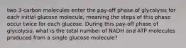 two 3-carbon molecules enter the pay-off phase of glycolysis for each initial glucose molecule, meaning the steps of this phase occur twice for each glucose. During this pay-off phase of glycolysis, what is the total number of NADH and ATP molecules produced from a single glucose molecule?