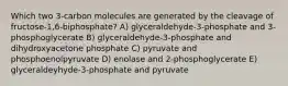 Which two 3-carbon molecules are generated by the cleavage of fructose-1,6-biphosphate? A) glyceraldehyde-3-phosphate and 3-phosphoglycerate B) glyceraldehyde-3-phosphate and dihydroxyacetone phosphate C) pyruvate and phosphoenolpyruvate D) enolase and 2-phosphoglycerate E) glyceraldeyhyde-3-phosphate and pyruvate