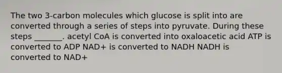 The two 3-carbon molecules which glucose is split into are converted through a series of steps into pyruvate. During these steps _______. acetyl CoA is converted into oxaloacetic acid ATP is converted to ADP NAD+ is converted to NADH NADH is converted to NAD+