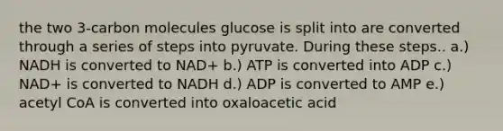 the two 3-carbon molecules glucose is split into are converted through a series of steps into pyruvate. During these steps.. a.) NADH is converted to NAD+ b.) ATP is converted into ADP c.) NAD+ is converted to NADH d.) ADP is converted to AMP e.) acetyl CoA is converted into oxaloacetic acid