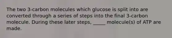 The two 3-carbon molecules which glucose is split into are converted through a series of steps into the final 3-carbon molecule. During these later steps, _____ molecule(s) of ATP are made.