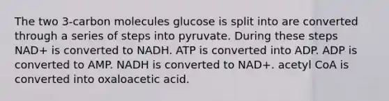 The two 3-carbon molecules glucose is split into are converted through a series of steps into pyruvate. During these steps NAD+ is converted to NADH. ATP is converted into ADP. ADP is converted to AMP. NADH is converted to NAD+. acetyl CoA is converted into oxaloacetic acid.