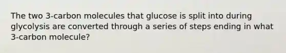 The two 3-carbon molecules that glucose is split into during glycolysis are converted through a series of steps ending in what 3-carbon molecule?