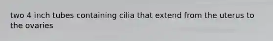 two 4 inch tubes containing cilia that extend from the uterus to the ovaries