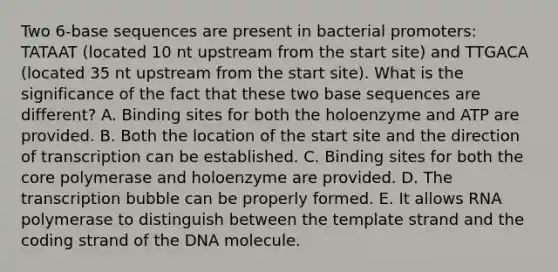 Two 6-base sequences are present in bacterial promoters: TATAAT (located 10 nt upstream from the start site) and TTGACA (located 35 nt upstream from the start site). What is the significance of the fact that these two base sequences are different? A. Binding sites for both the holoenzyme and ATP are provided. B. Both the location of the start site and the direction of transcription can be established. C. Binding sites for both the core polymerase and holoenzyme are provided. D. The transcription bubble can be properly formed. E. It allows RNA polymerase to distinguish between the template strand and the coding strand of the DNA molecule.