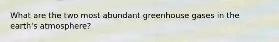 What are the two most abundant greenhouse gases in the earth's atmosphere?