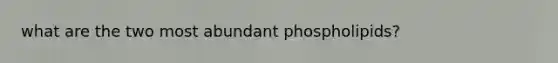 what are the two most abundant phospholipids?