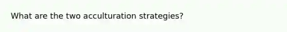 What are the two acculturation strategies?