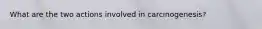 What are the two actions involved in carcinogenesis?