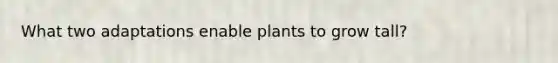 What two adaptations enable plants to grow tall?