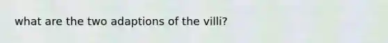 what are the two adaptions of the villi?