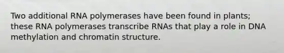 Two additional RNA polymerases have been found in plants; these RNA polymerases transcribe RNAs that play a role in DNA methylation and chromatin structure.